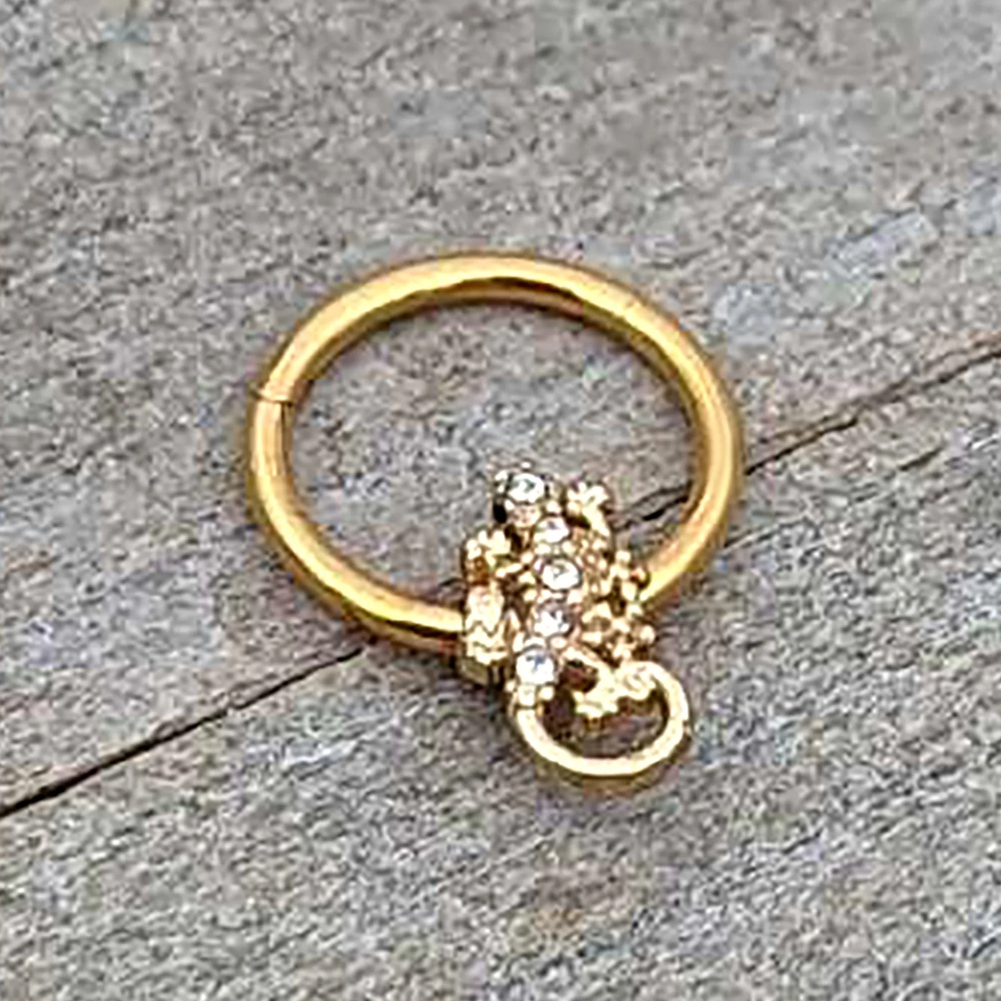 16 Gauge 3/8 Clear Gem Gold Tone Luscious Lizard Hinged Segment Ring