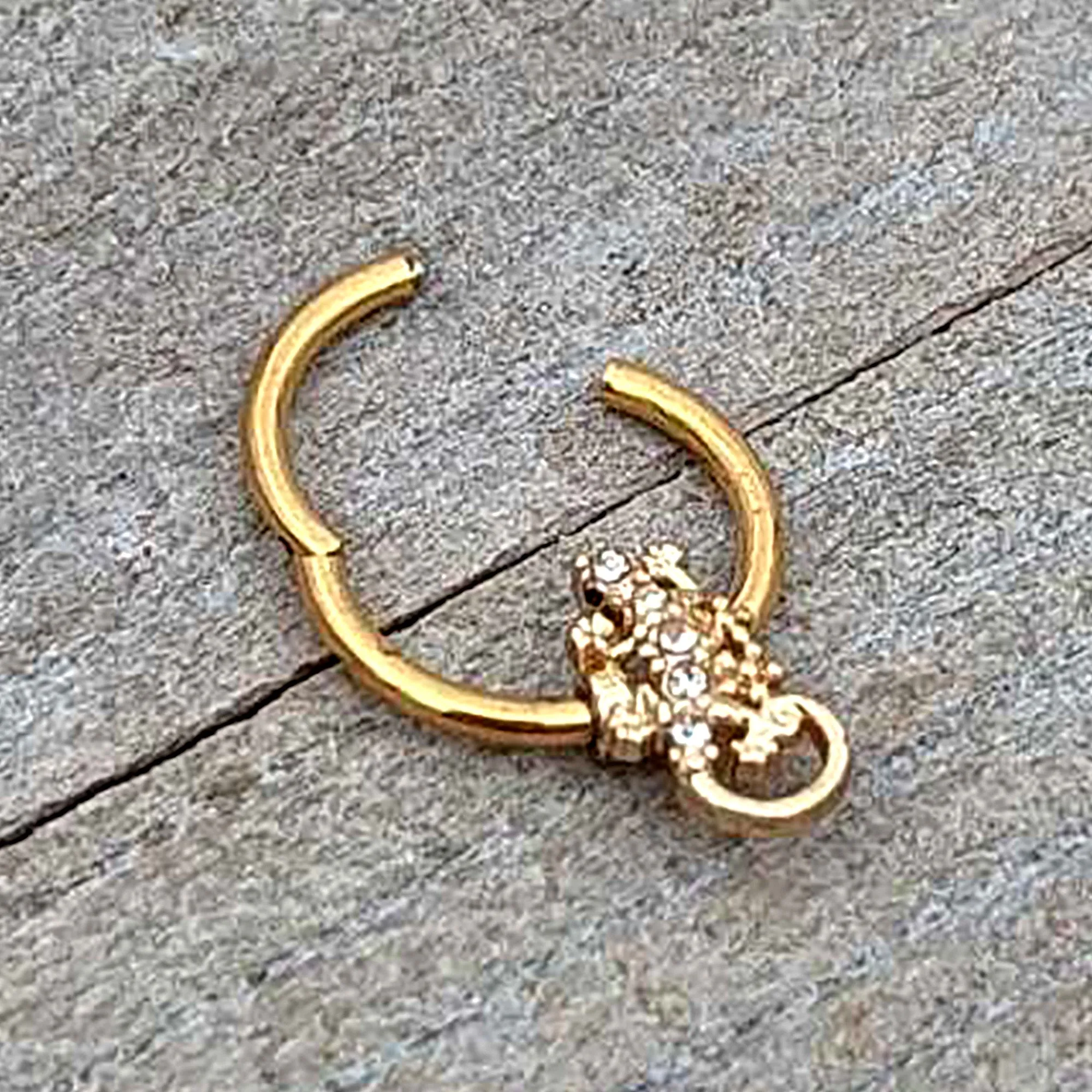 16 Gauge 3/8 Clear Gem Gold Tone Luscious Lizard Hinged Segment Ring