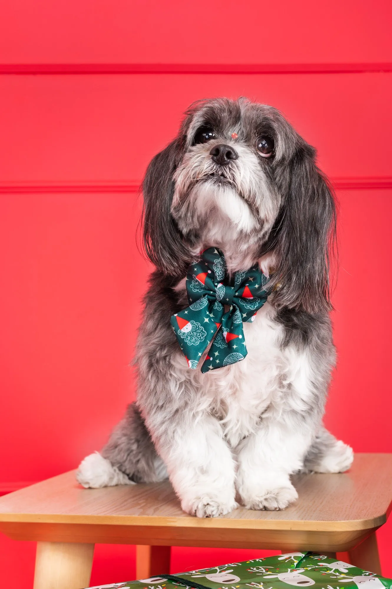 Deluxe Bundle - Santa   Emerald Velvet