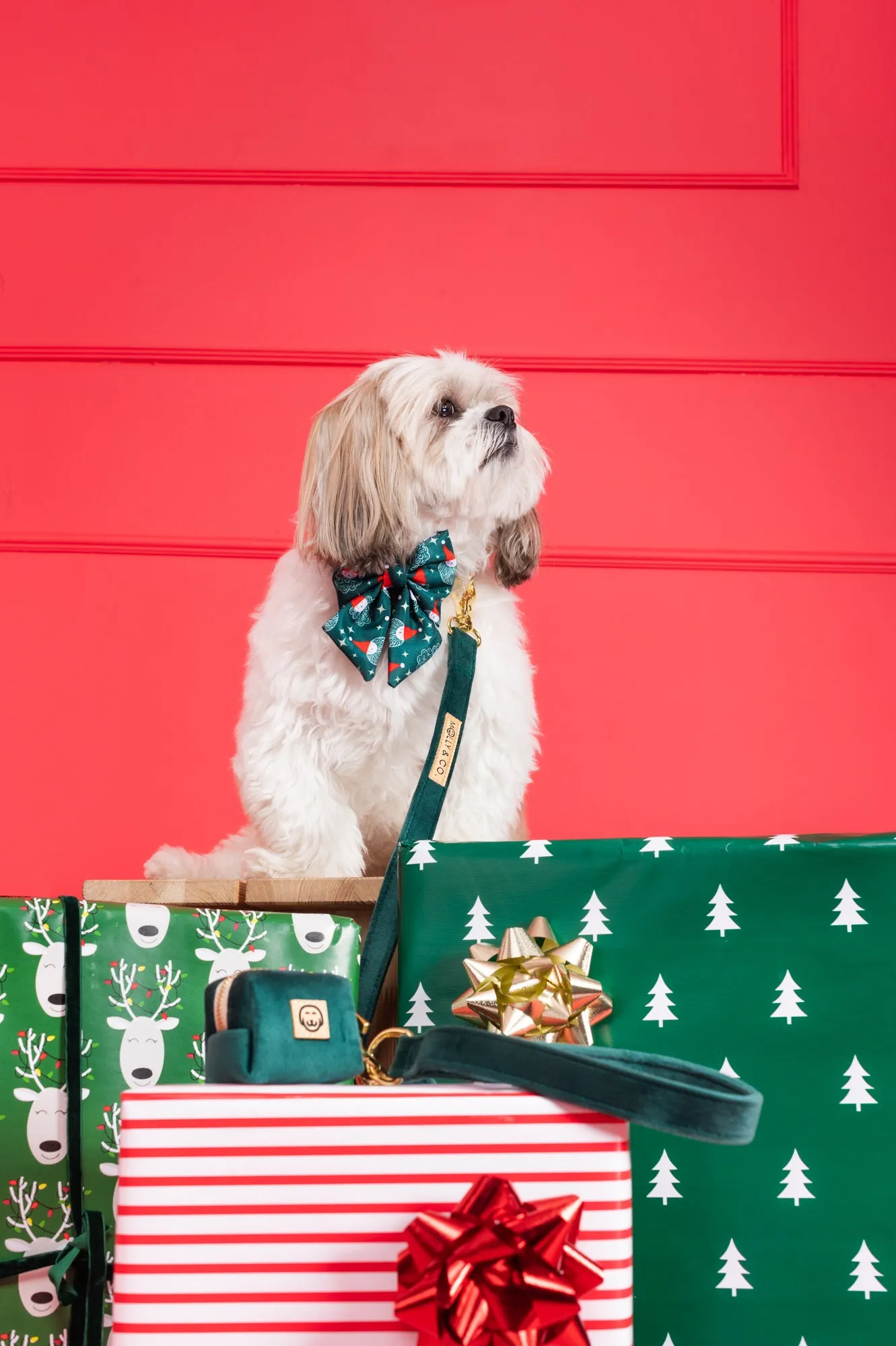 Deluxe Bundle - Santa   Emerald Velvet
