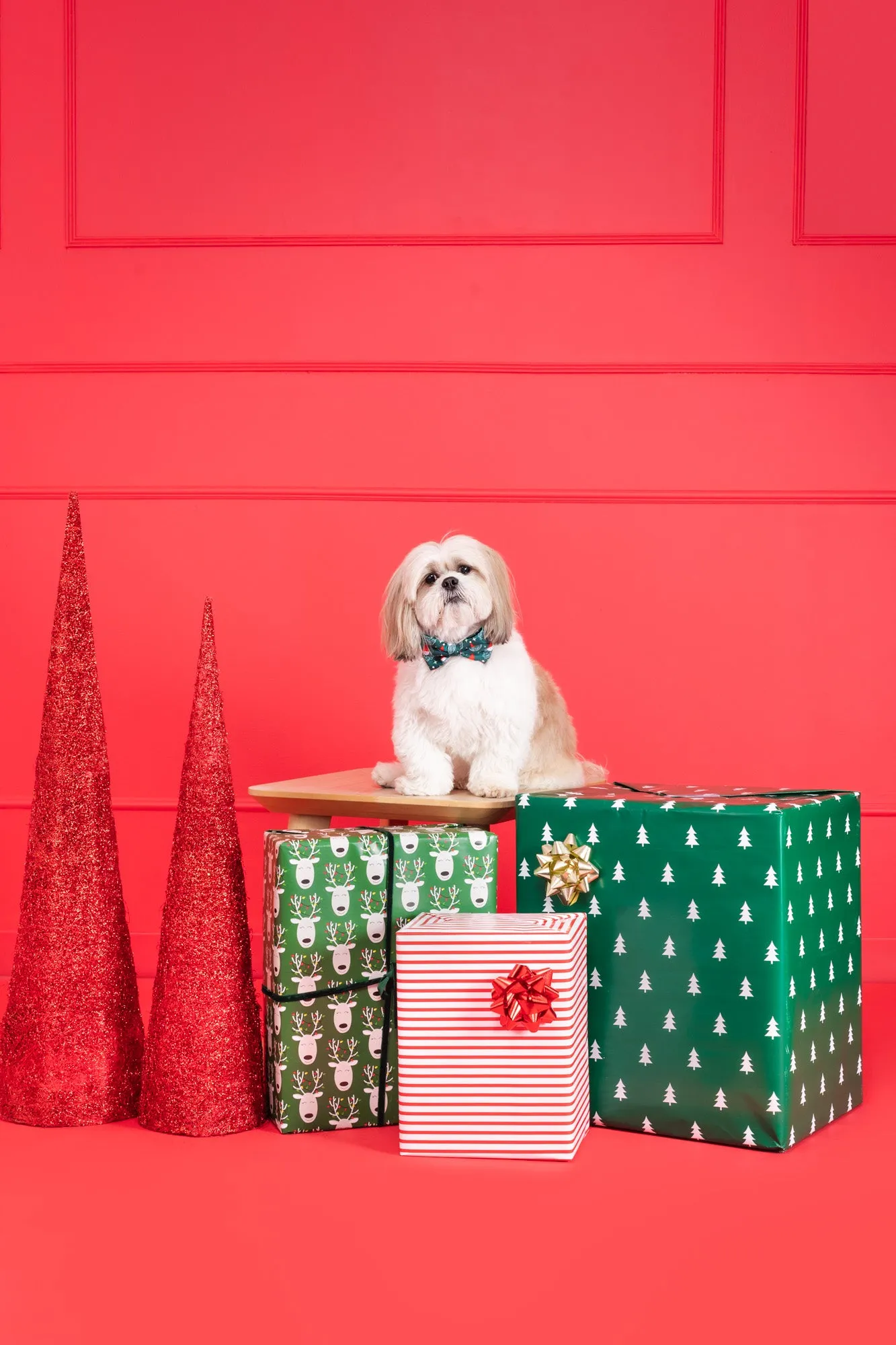 Deluxe Bundle - Santa   Emerald Velvet