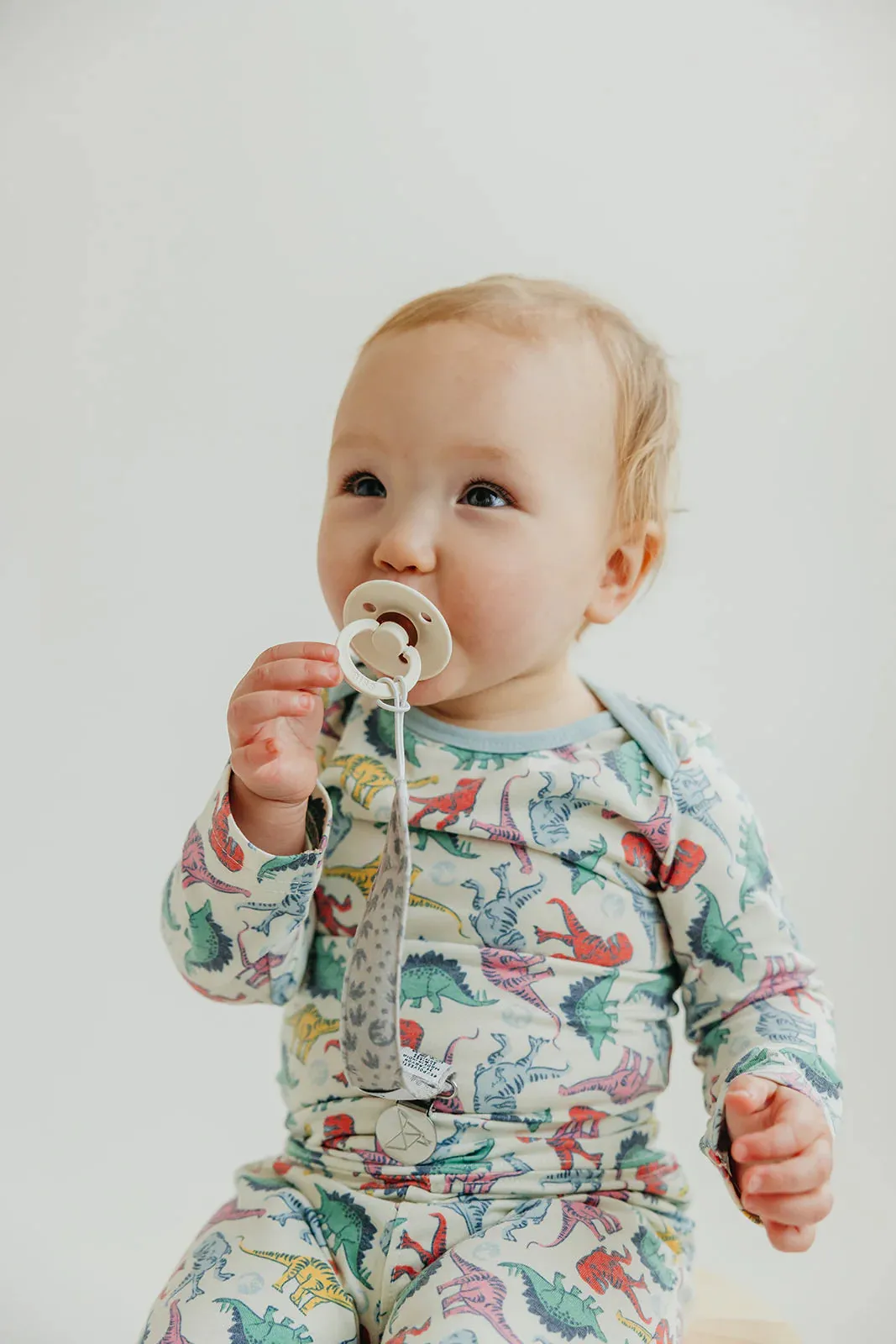Knit Binky Clip 3 Pack- Jurassic Park