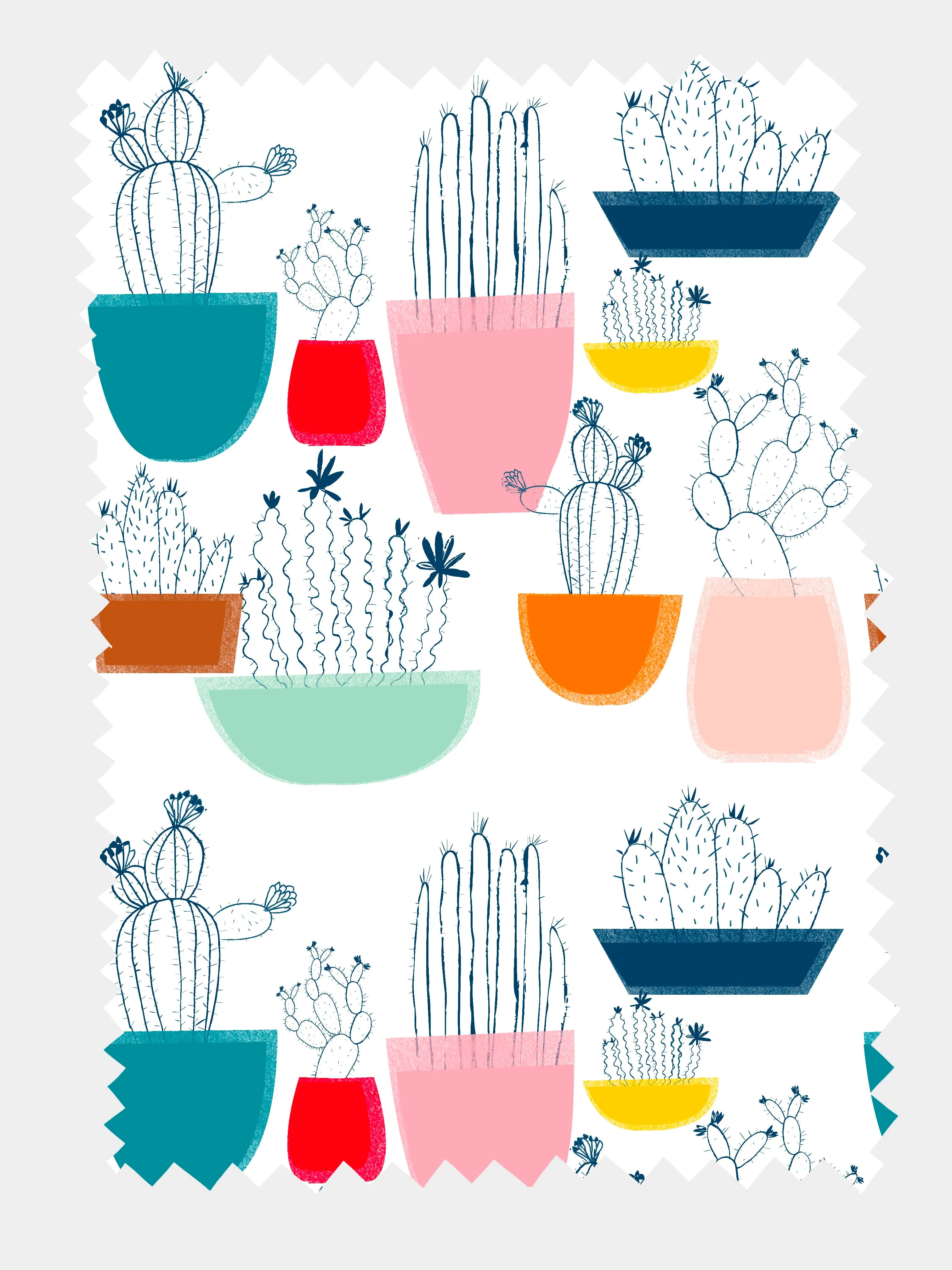 Pot Plant Cacti