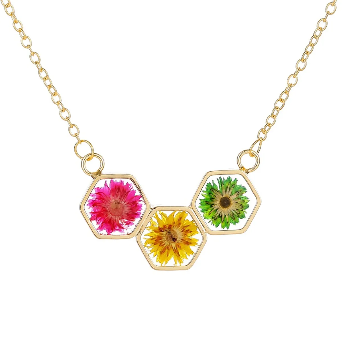 Pressed Flower & 18K Gold-Plated Multicolor Hexagon Pendant Necklace