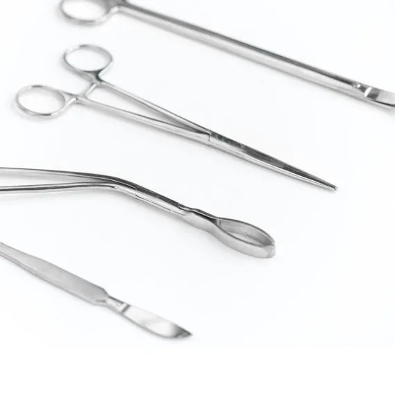 Stainless Steel Scissors