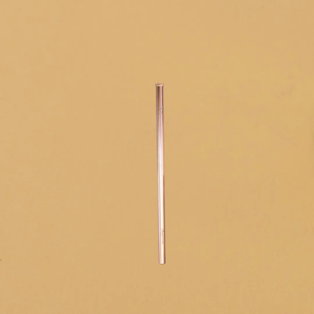 STAINLESS STEEL SINGLE REUSABLE STRAW